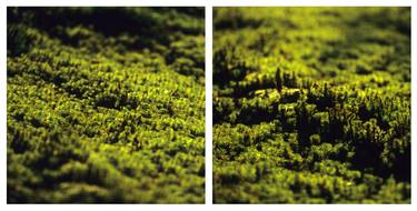 Green world, study 2 + study 3, Diptychon - Limited Edition of 6 thumb