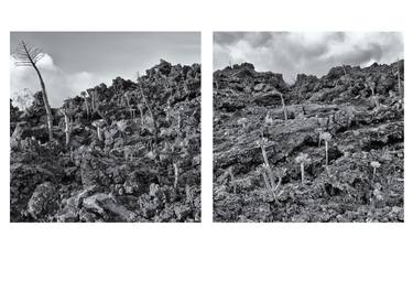 Land of lava and hope, study #6 (Diptychon) - Limited Edition of 9 thumb