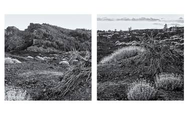 Original Conceptual Landscape Photography by Helmut Rueger