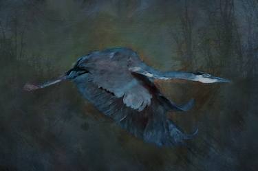 Blue Heron In Flight - Limited Edition of 1 thumb