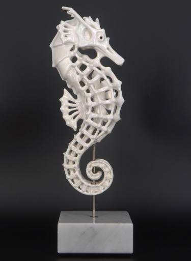 Ornamental Seahorse thumb