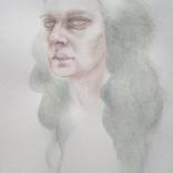 Disconfirming Evidence by Monika Diak