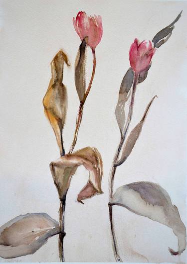 Print of Fine Art Botanic Paintings by Gloria Verge