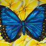 Collection Butterfly Art