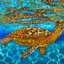 Collection Sea Turtles Art