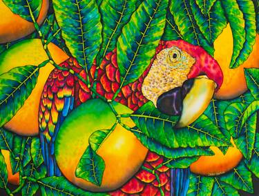 Macaw & Oranges thumb