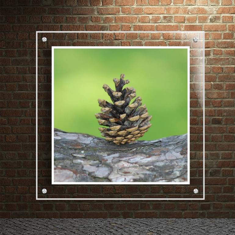 Original Other Nature Photography by Tijana Stepic