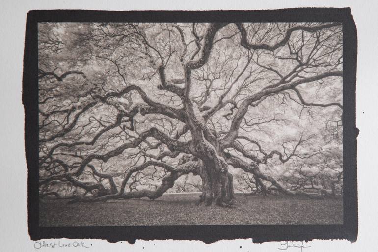 Original Other Landscape Photography by Laura James