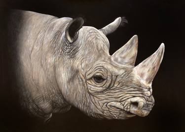 The Black Rhino Facing a Dark Future thumb