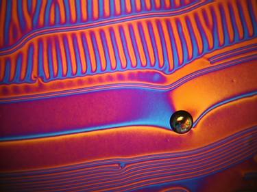 Print of Abstract Science Photography by Karen Neill