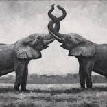 elephants by Nikola Golubovski