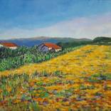 sunny summer impression by Nikola Golubovski