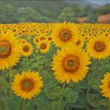 sunflowers ,sunset by Nikola Golubovski
