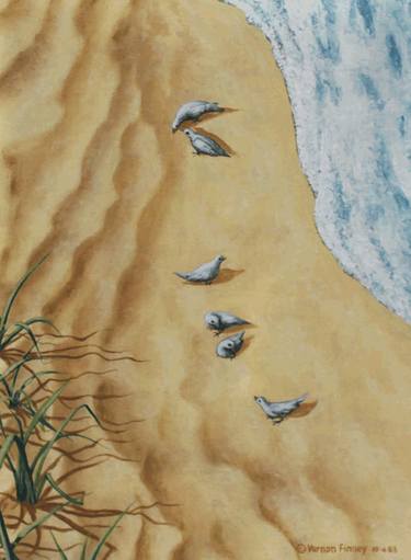 The Birds Woman