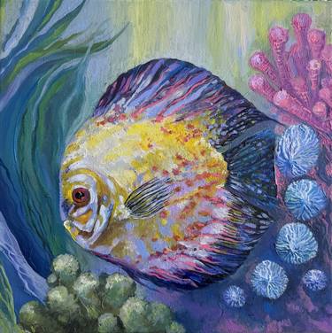 Discus Fish: An Ode to Aquatic Grace - 12x12 Oil on Canvas thumb