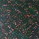 Collection Art for the Nature Lover