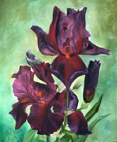 Play with Fire Irises - red flowers, still life floral thumb