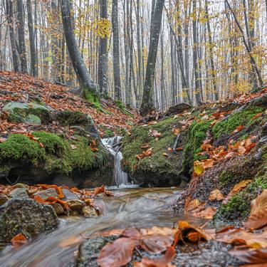 Original Realism Landscape Photography by Adriano Cascio