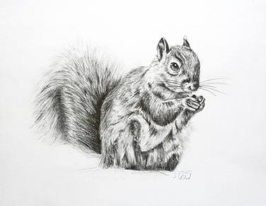 Print of Realism Animal Drawings by Susannah Weiland