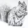 Drawing: Pencil on paper
Pencil drawing of a cute squirrel sitting in Richmond Park London
Tonal drawing on acid free fine grain – heavyweight paper 200g