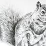 Drawing: Pencil on paper
Pencil drawing of a cute squirrel sitting in Richmond Park London
Tonal drawing on acid free fine grain – heavyweight paper 200g