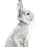 Young bunny rabbit standing on its hind legs. This is a tonal pencil drawing on smooth pure white acid free – heavyweight paper 250g.It should be mounted and framed.