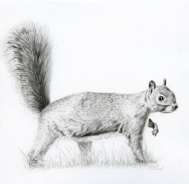 Original Figurative Animal Drawings by Susannah Weiland