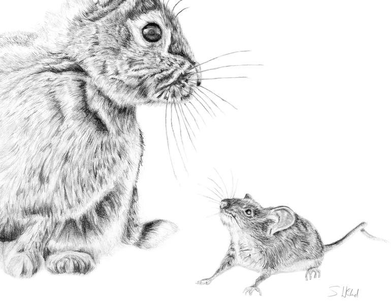 Original Animal Drawing by Susannah Weiland