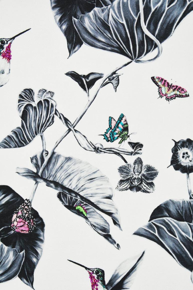Original Illustration Botanic Mixed Media by Susannah Weiland