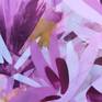 Crazy Beautiful by Kylie Sams – detail