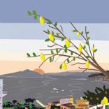 Collection Sorrento Collection 
