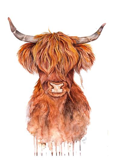 Highland Cow in water colors thumb