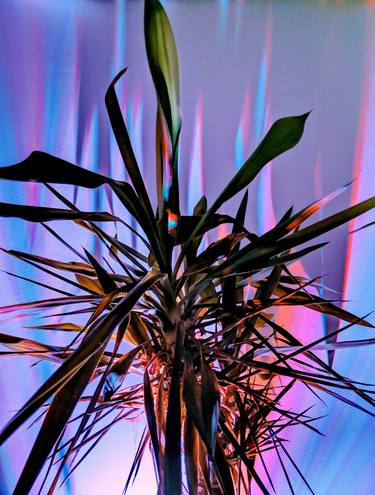 Original Conceptual Botanic Photography by MAC Alvarez