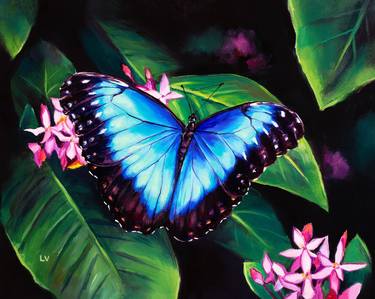 Blue butterfly and pink flowers thumb