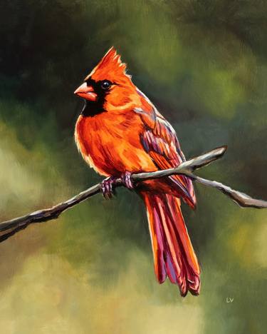 Northern cardinal bird in nature thumb