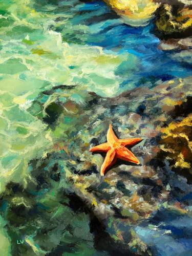 Starfish on rocky shore at summer thumb
