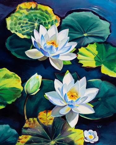 White water lily flowers on a pond thumb