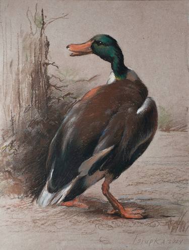 Duck, a fragment from a painting by Melchior de Hondecoeter thumb