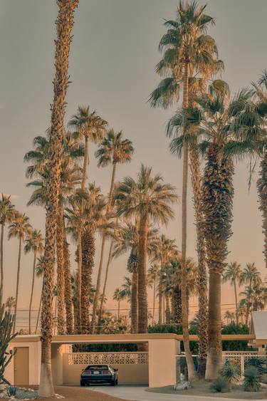 DeLorean and Palms thumb