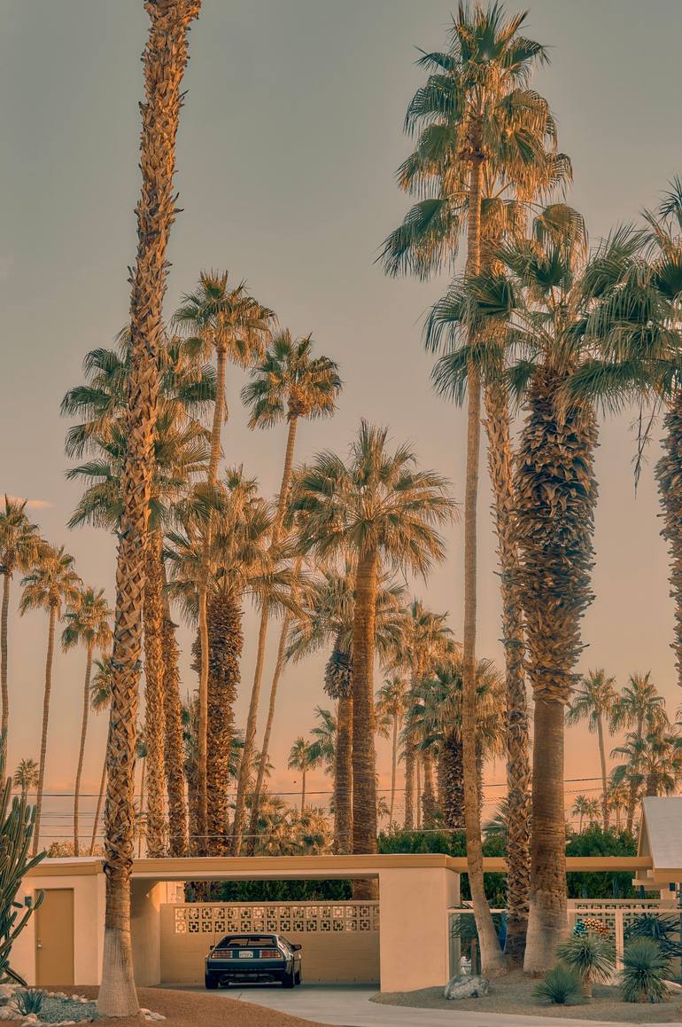 Original Architecture Photography by Jonathan Ducrest | Other Art on Paper | DeLorean and Palms