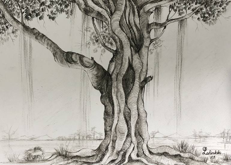 Original Fine Art Nature Drawing by Lahirukshi Dissanayake