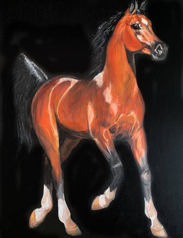 Print of Horse Paintings by Aura Elli