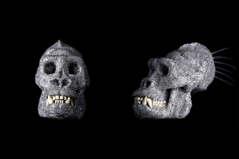 Original Documentary Animal Sculpture by Marina Della Preda