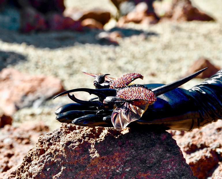 Original Figurative Animal Sculpture by Marina Della Preda