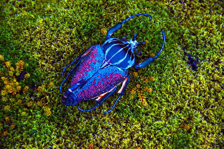 Original Figurative Animal Sculpture by Marina Della Preda