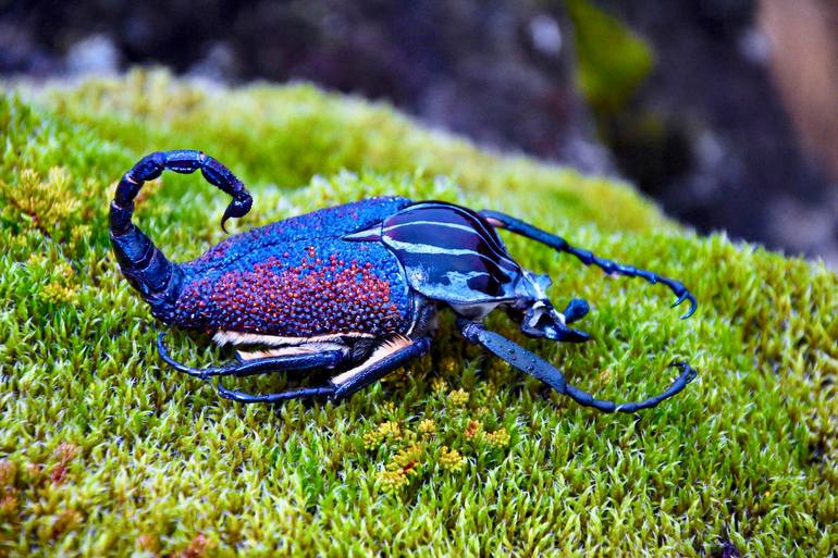 Original Figurative Animal Sculpture by Marina Della Preda