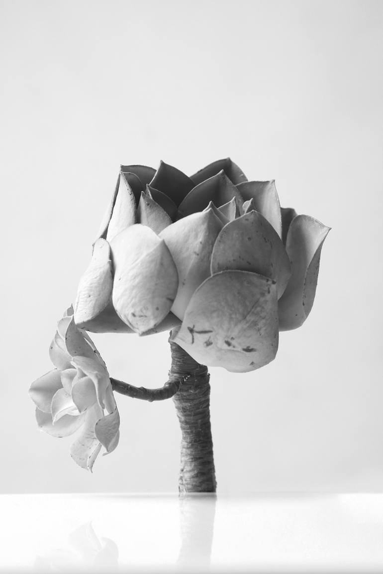 Black And White Fine Art Photography