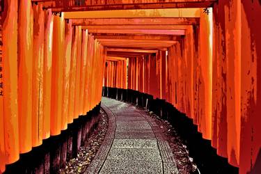 Torii path at Fushimi Inari-Taisha Shrine - Limited Edition of 10 thumb