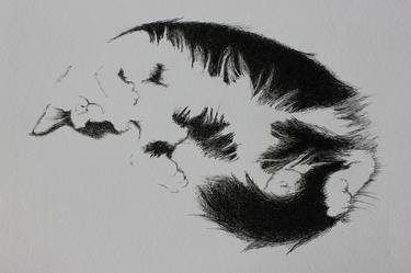 Original Fine Art Cats Drawings by Willis Moore