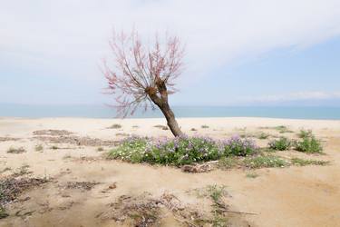 Beach Tree - Limited Edition of 5 thumb